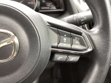 ステアリング右には運転支援系システムがまとまっており、運転中の操作の迷いを少なくしてくれます。