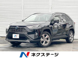 パワーバックドア Bluetooth LEDライト レーダークルーズ
