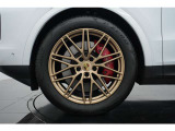 21インチRS Spyder Designホイール(ネオディム塗装)のオプション装備で目を惹く足元となっております。