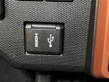 USB/HDMI端子も備えられていますのでお手持ちの音楽機器を繋げられます!
