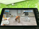 停車中にテレビ番組を視聴でき、休憩時間や待ち時間も車内で過ごしやすくなります。画面に映像が大きく表示され、ニュースや番組を確認したいときにも便利です。