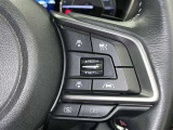 ステアリングスイッチ付き。前方から目を離すことなく操作することが可能です。