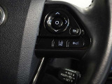トヨタが誇る衝突被害軽減ブレーキを搭載したサポカーです。レーダークルーズコントロールを装備してます。