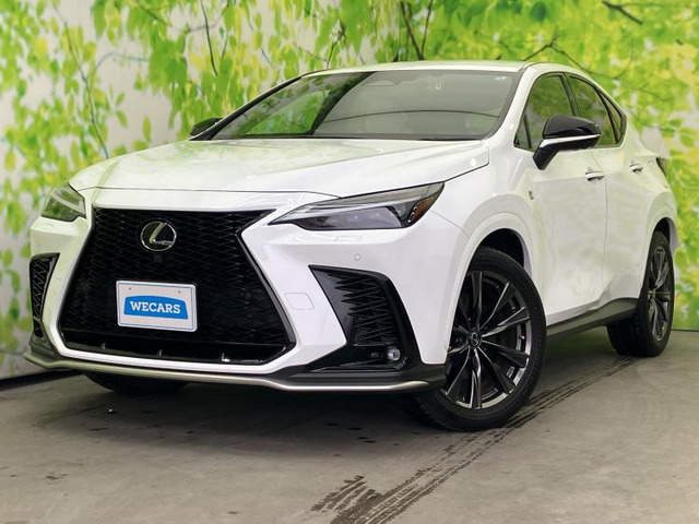 NX 350h Fスポーツ 