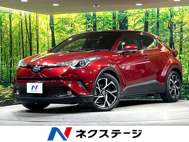 C-HR  G