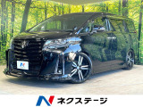 BIG-X11型ナビ 後席モニター バックカメラ 両側電動スライドドア