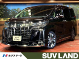 ツインムーンルーフ モデリスタエアロ BIG-X11インチナビ