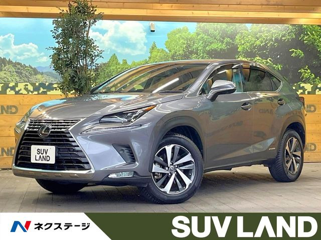 NX 300h Iパッケージ