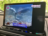 テレビ映像を楽しめる画面を備えており、停車中の休憩時間などに番組を視聴できます。画面が大きく見やすい配置で、目的地でひと息つく時間にも活用しやすい装備です。