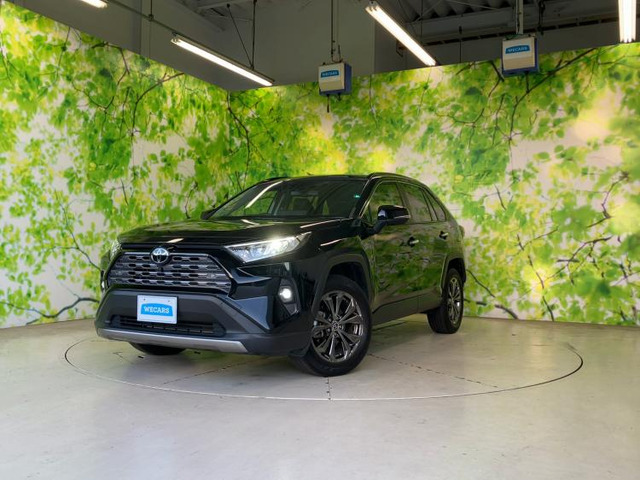 RAV4 2.0 G 4WD 