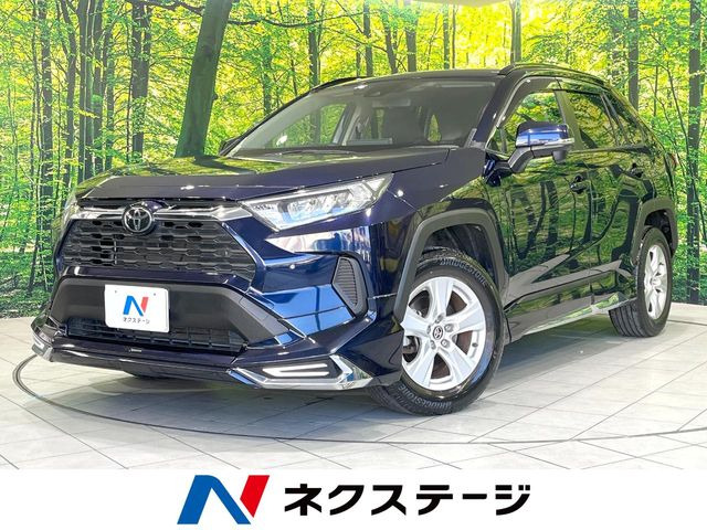 RAV4 2.0 X 