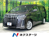 両側電動スライド 11型BIG-X フリップダウン バックカメラ