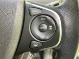 ステアリングの手元には、走行支援に関するスイッチ類がまとめられています。表示を見ながら操作対象を確認でき、運転中の各種設定に活用しやすい構成です。