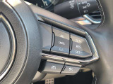 ミリ波レーダーで先行車との速度差や車間距離を認識。設定した車速内での車間距離を自動で調整・維持して、アクセル・ブレーキの操作なしで長距離ドライブの負担も軽減してくれます。