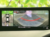後方の様子に加え、周囲を上から見た映像も画面で確認できる構成です。駐車時の周辺確認をサポートし、車庫入れや狭い場所での取り回しに役立ちます。