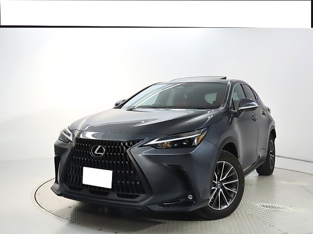 NX