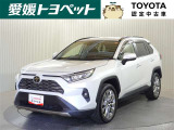 RAV4  2.0 G Zパッケージ 4WD