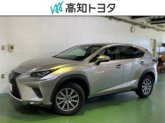 NX 300h Iパッケージ