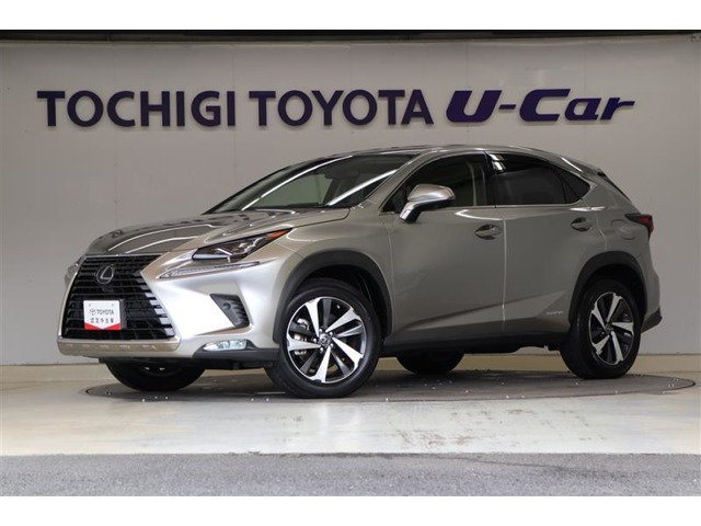 NX 300h バージョンL 4WD