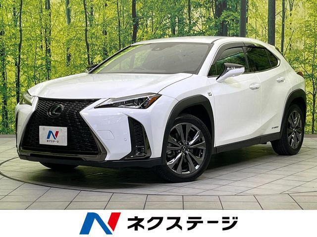 UX 250h Fスポーツ 
