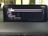 オーディオソースはこのようになっています。