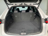 レクサス車らしい細部までこだわった高級感と見る人を一目で虜にするエモーショナルな魅力を持ち合わせております。