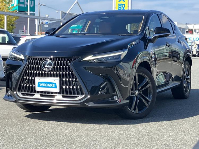 NX 250 バージョンL 4WD 