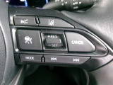 クルーズコントロールで一定速度をキープできます。運転の疲労も軽減してくれ、燃費節約にも役立ちます。ロングドライブの頼もしい味方ですね。