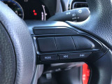 【ステアリングスイッチ】右です。ステアリングから手を離さず、運転に集中したまま手元でオーディオ操作等が出来ます。