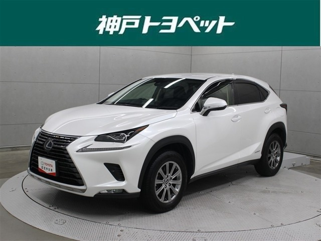 NX 300h Iパッケージ