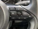 クルーズコントロールスイッチ