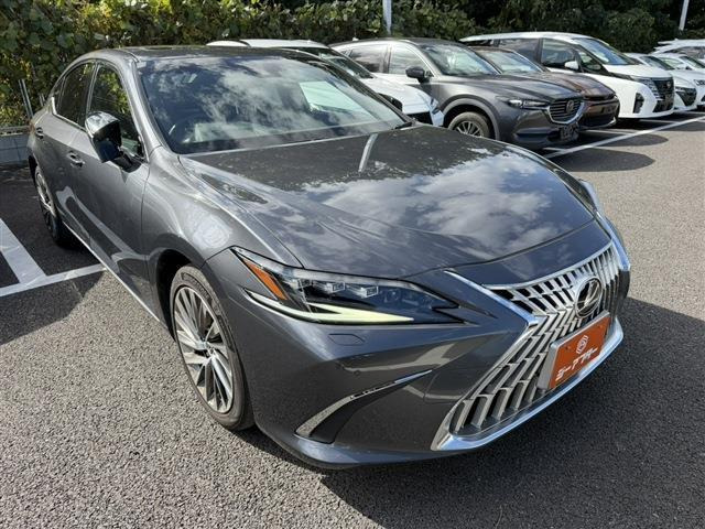 ES 300h グレイスフル エスコート 禁煙車 サンル-フ