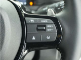 ◆アダプティブクルーズコントロール◆予め設定した車速内でクルマが自動的に加減速。前走車との適切な車間距離を維持しながら追従走行します。【LKAS】車線維持支援システムでステアリング操作を支援。