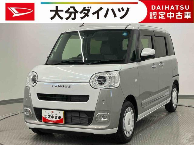 ムーヴキャンバス  ストライプス G