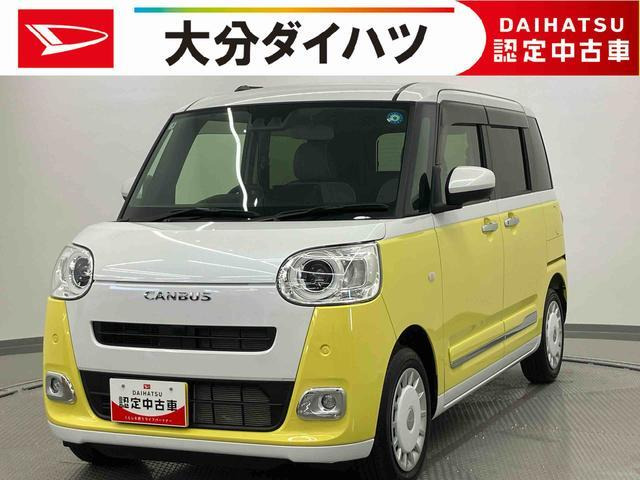 ムーヴキャンバス  ストライプス G