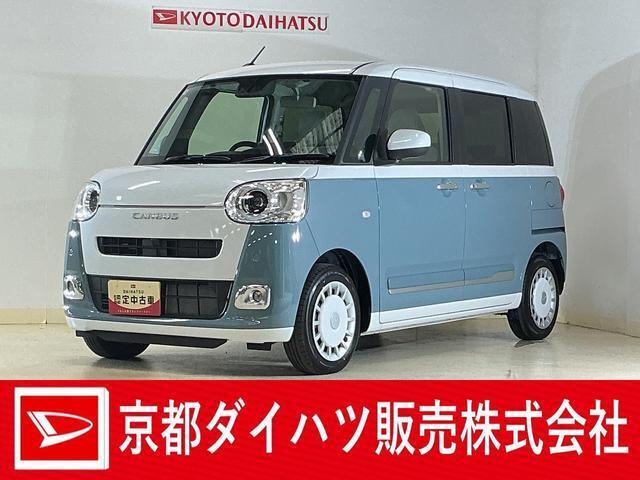 ムーヴキャンバス  ストライプス G