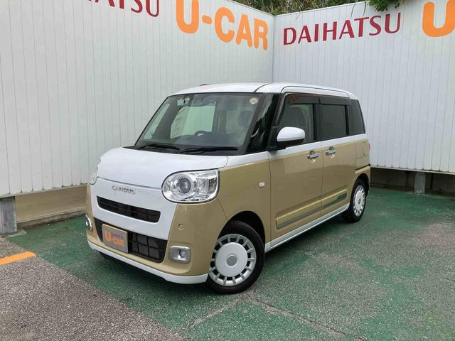 ムーヴキャンバス ストライプス G