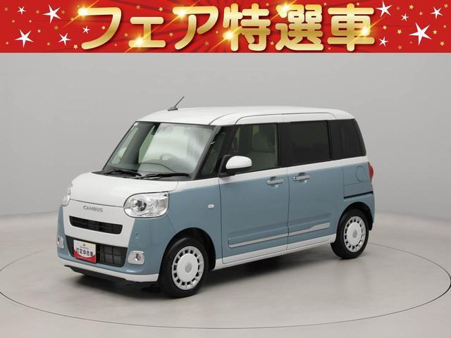 ムーヴキャンバス  ストライプス G