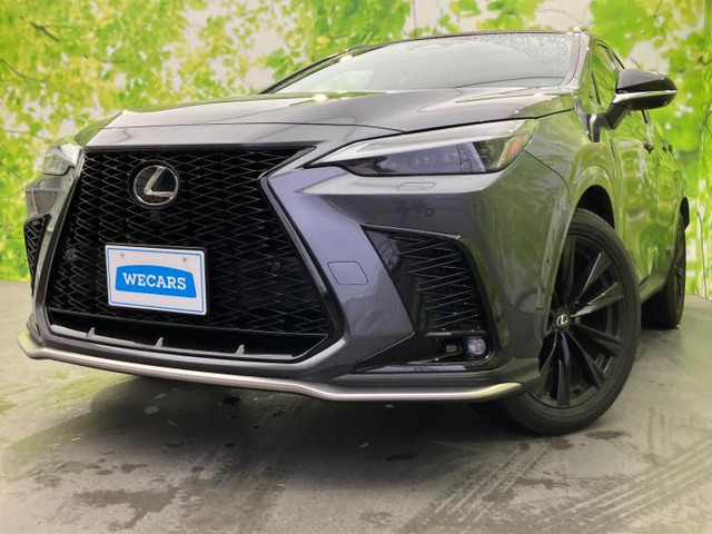 NX 350h Fスポーツ