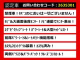 ヴェルファイア 2.4 Z Gエディション リアモニタ 両側パワスラ パワーバック