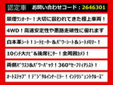 エルグランド 3.5 VIP 4WD 